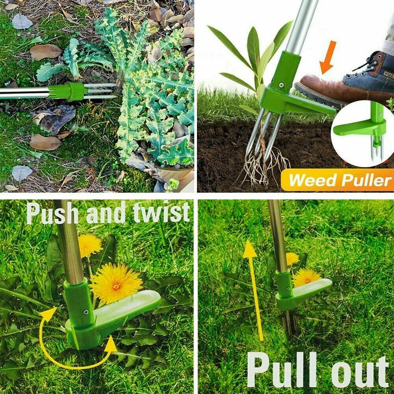 Weed Twister Root Remover
