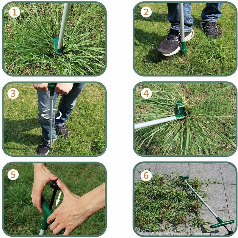 Weed Twister Root Remover